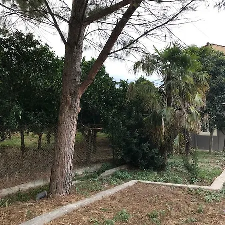 Taygetos Sparta