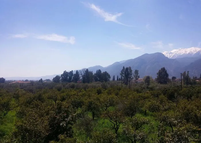 Apartmán Taygetos Sparta