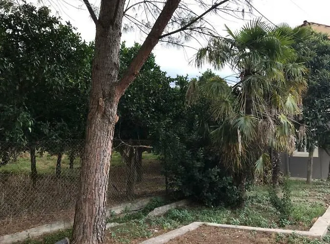Taygetos Sparta